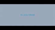 怎么发现小狗发烧
