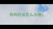 狗狗托运怎么办理