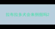 拉布拉多犬会来例假吗