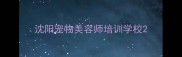 沈阳宠物美容师培训学校