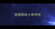 宠物狗哈士奇特性