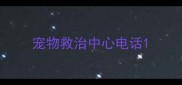 宠物救治中心电话