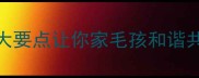 金毛和哈士奇一起养这5大要点让你家毛孩和谐共处附混养清单和避坑指南