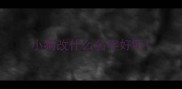 小狗改什么名字好听