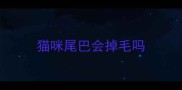 猫咪尾巴会掉毛吗