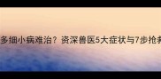 拉布拉多细小病难治资深兽医5大症状与7步抢救指南