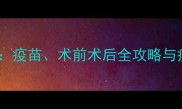 猫绝育前必看疫苗术前术后全攻略与疫苗选择指南
