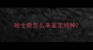 哈士奇怎么来鉴定纯种
