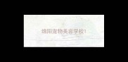 绵阳宠物美容学校