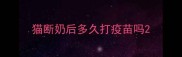 猫断奶后多久打疫苗吗