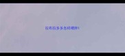 拉布拉多多怎样喂胖