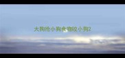 大狗抢小狗食物咬小狗