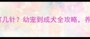 狂犬疫苗打几针幼宠到成犬全攻略养宠人必看