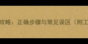 哈士奇剪毛全攻略正确步骤与常见误区附工具选购指南