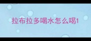 拉布拉多喝水怎么喝