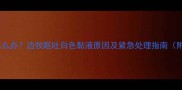 边牧吐白色泡沫怎么办边牧呕吐白色黏液原因及紧急处理指南附专业兽医建议