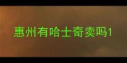 惠州有哈士奇卖吗
