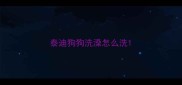 泰迪狗狗洗澡怎么洗