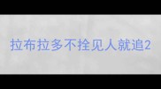 拉布拉多不拴见人就追