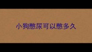小狗憋尿可以憋多久