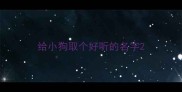 给小狗取个好听的名字