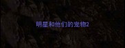 明星和他们的宠物