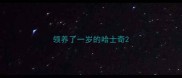 领养了一岁的哈士奇