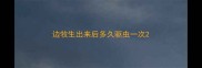 边牧生出来后多久驱虫一次