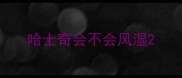 哈士奇会不会风湿