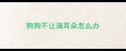 狗狗不让滴耳朵怎么办