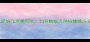 拉布拉多最爱的飞盘类型大如何根据犬种特性挑选合适玩具