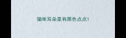 猫咪耳朵里有黑色点点