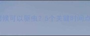 拉布拉多什么时候可以驱虫5个关键时间点及注意事项全