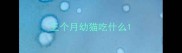 三个月幼猫吃什么