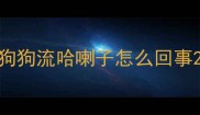 狗狗流哈喇子怎么回事