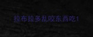 拉布拉多乱咬东西吃