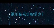 银川金毛价格多少