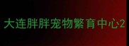 大连胖胖宠物繁育中心
