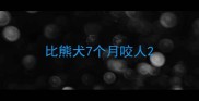 比熊犬7个月咬人