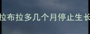 拉布拉多几个月停止生长