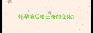 怀孕前后哈士奇的变化