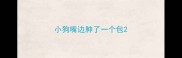 小狗嘴边肿了一个包