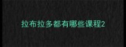 拉布拉多都有哪些课程