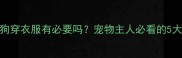 夏天给小狗穿衣服有必要吗宠物主人必看的5大注意事项