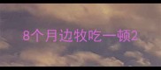 8个月边牧吃一顿