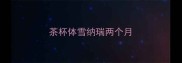 茶杯体雪纳瑞两个月