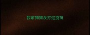 我家狗狗没打过疫苗