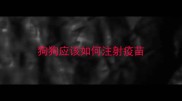 狗狗应该如何注射疫苗