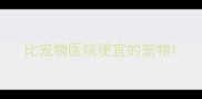 比宠物医院便宜的宠物