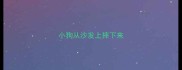 小狗从沙发上摔下来